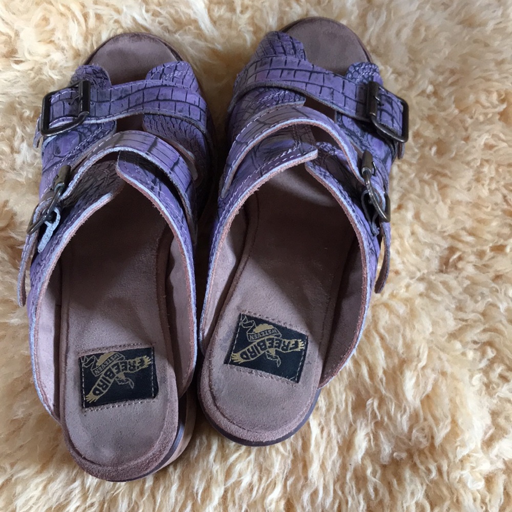 Freebird Caprice 8 - image 2